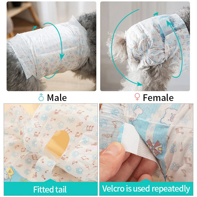 10Pcs Dog Diapers Female Dogs Sanitary Pants Male Dogs Leakproof Nappies Super Absorption Pet Menstrual Physiological Pants