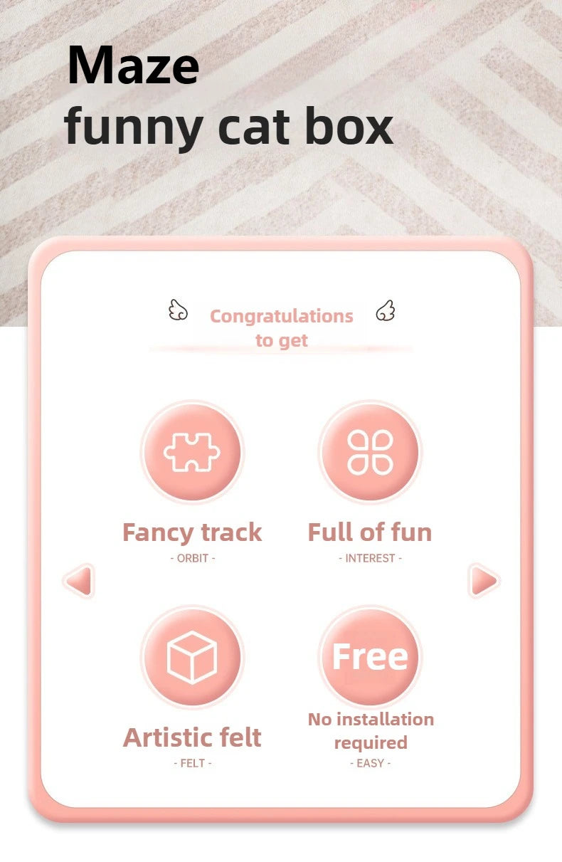 Maze Master Puzzle Box