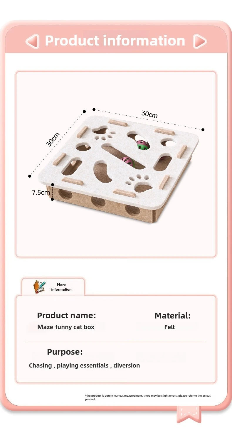 Maze Master Puzzle Box