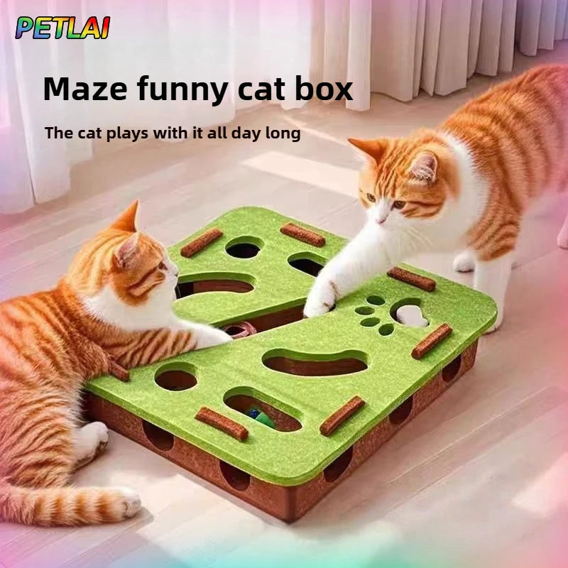 Maze Master Puzzle Box